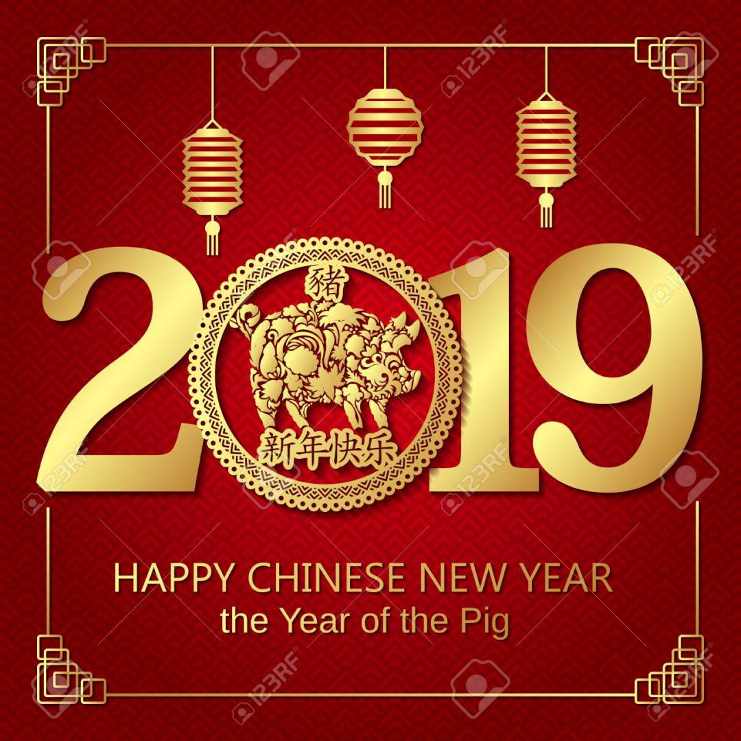 Happy chinese new year 2019 banner card with gold pig zodiac sign and china money coin and lantern on red background vector design